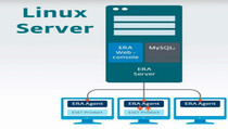 Efisiensi Platform Server Kolaborasi ERA Linux