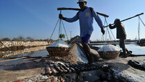 BUMN Garam Butuh Tambahan 350 Ha Lahan