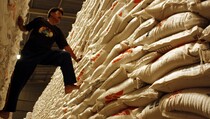 Awas, Produksi 4 Bahan Pangan Pokok Indonesia Minus