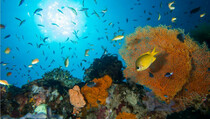 Pariwisata Sehat, Aman, dan Berkualiats Makin Diminati