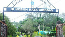 Ribuan Pengunjung Datangi Kebun Raya Cibodas