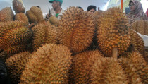 Genjot Produksi, Neraca Perdagangan Durian Surplus 733 Ton