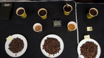 Aroma Kopi Indonesia Pikat Pengunjung World of Coffee 2019