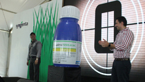 Syngenta Luncurkan Apiro untuk Maksimalkan Produksi Padi