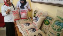 Sentuhan Teknologi Nuklir Tingkatkan Kualitas Benih