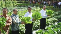 Mentan Bagikan Benih Gratis ke Petani