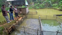 KKP Ingatkan Kebutuhan Pangan Ikan Terus Meningkat