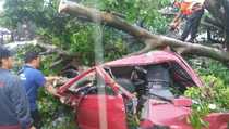 Bogor Dihantam Puting Beliung, 1 Warga Tewas