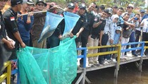 Usaha Perikanan Bangkitkan Ekonomi Petani Miskin di Kerinci
