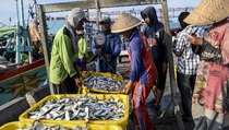 Wacana BUMN Pangan, Perum Perindo Siap Jadi Offtaker Hasil Nelayan
