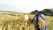 Masyarakat Jatim Rindu Program Kerakyatan
