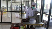 PTPN XII Genjot Produktivitas Kakao Lewat Strategi Penyehatan