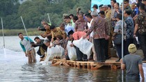 Penyelamatan 15 Danau Kritis di Indonesia Jangan Lagi Sekadar Janji