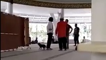 Pasal Penodaan Agama untuk Wanita Pembawa Anjing ke Masjid Bermasalah