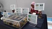 Oseanografi LIPI Dorong Perlindungan Ekosistem Teripang