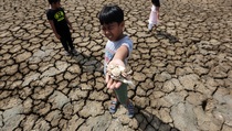 1.757 Hektare Tanaman Pangan di Bengkulu Terancam Puso Akibat Kekeringan