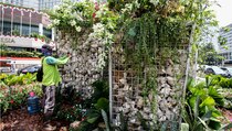 Dinas Pertamanan Tegaskan Batu Gabion Bukan Karya Seni