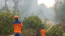 Polda Jambi Tetapkan 15 Tersangka Pembakar Hutan