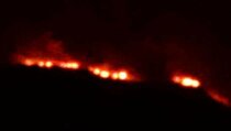 Hutan Lereng Sindoro Wonosobo Terbakar