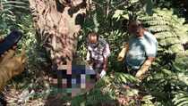 Tim Forensik Kesulitan Identifikasi Mayat dalam Koper di Bogor