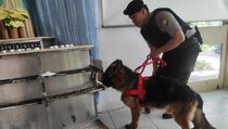 Anjing Pelacak Sisir Gereja di Jakarta Barat