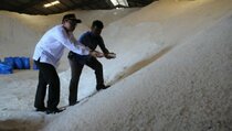 Produksi Melimpah, 161.665 Ton Garam Tak Tertampung di Madura