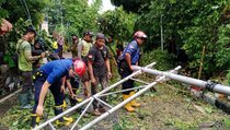 Pemkot Bogor Segera Potong 133 Pohon Rawan Tumbang