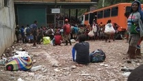 Teror Kelompok Kriminal Bersenjata di Papua, 917 Warga Mengungsi