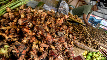 Obat Covid-19 dan Vitamin Kosong di Apotek, Kadinkes Bogor: Bikin Ramuan Rempah-rempah