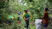 Serunya Prajurit TNI dan Warga Panen Rambutan di Perbatasan Papua Nugini