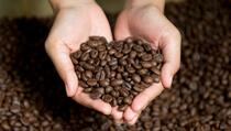 Gubernut NTT: Kopi Manggarai Harus Jadi Tuan Rumah di Tanah Sendiri