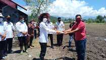 Pertani Pasok Benih untuk 1 Juta Hektare Sawah Sepanjang 2020