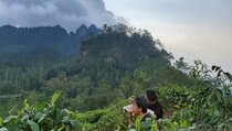Dinas Pariwisata Kulon Progo: Seluruh Objek Wisata Siap Dibuka untuk Umum
