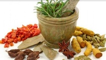 Produk Obat Herbal Indonesia Bisa Menembus Pasar Internasional