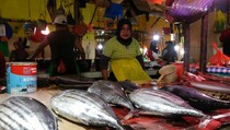 Sepekan Cuaca Ekstrem, Harga Ikan di Kota Ternate Naik 2 Kali Lipat