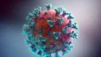 Virus Asli Covid-19 Sudah Tak Ada, WHO Rekomendasikan Vaksin untuk Varian XBB