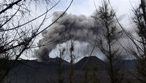 2.600 Ha Tanaman di Probolinggo Rusak Terkena Abu Bromo