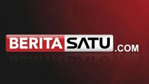 Harga Ayam Hidup Turun Drastis, Kemdag Diminta Intervensi