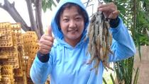 Teknologi eFishery Tingkatkan Produksi Budidaya Udang dan Ikan