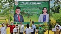 La Nyalla: Impor Beras Bukan Solusi