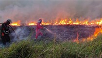 Penegakan Hukum Kebakaran Hutan, Polri-Jaksa Teken Kesepakatan