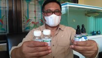 Wakil Wali Kota Malang Klaim Temukan Herbal Penyembuh Covid-19 dari Pohon Mandala