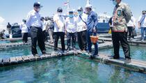 Menteri Trenggono Sebut Natuna Potensial Dijadikan KEK Kelautan