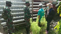 TNI Ajari Kelompok Tani Mimika Tanam Sayuran Hidroponik