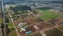 Food Estate dan Ancaman Krisis Pangan di Saat Pandemi