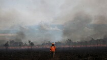 Belasan Hektare Lahan di Ogan Ilir Sumsel Terbakar