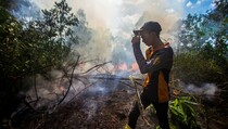 BPBD Riau Catat 131 Hektare Lahan Terbakar Sejak Januari 2023