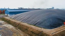 Produksi Listrik Berbasis EBT di PTPN Group 318 MW