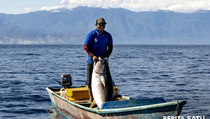 Begini Cara Nelayan di Maluku Melestarikan Ikan Tuna Sirip Kuning