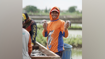 HIN 2021 Momentum Giatkan Masyarakat Makan Ikan